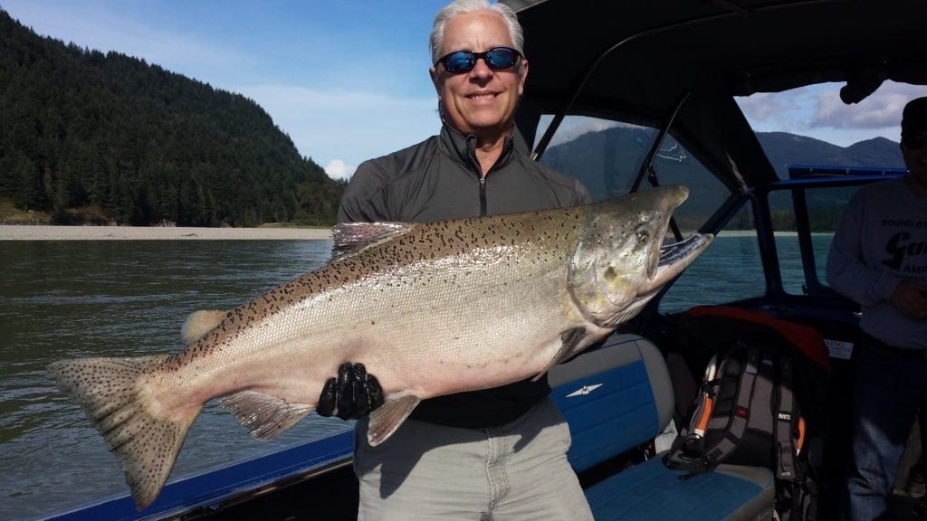Man holding up giant Chinook salmon caught on the Fraser River in British Columbia