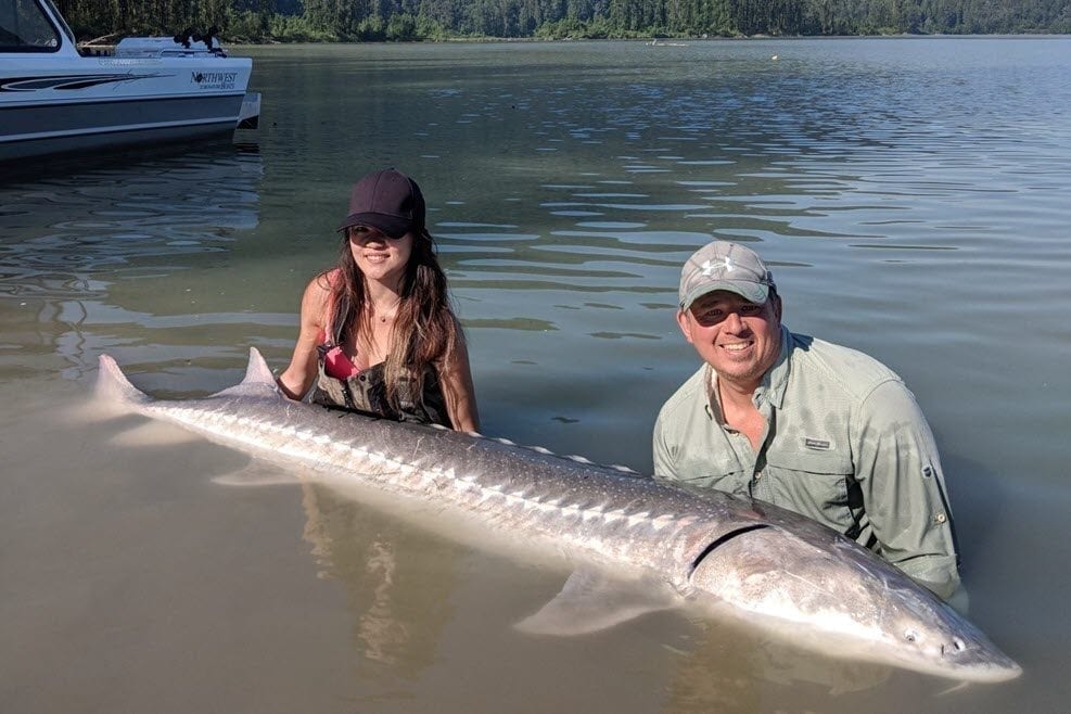 Fraser River sturgeon fishing is on 🔥 whats you're favourite fish to