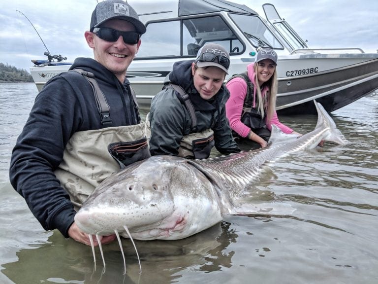michigan white sturgeon fishing planet michigan white sturgeon fishing planet