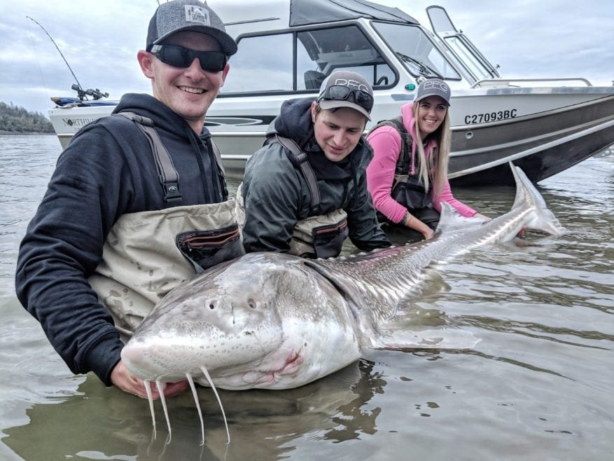 fishing planet unique white sturgeon california