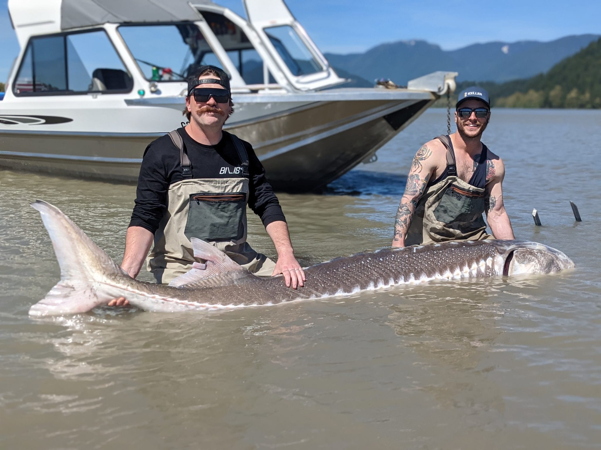 Sturgeon Fishing Report Fraser River