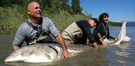 Three guests pose for picture with white sturgeon