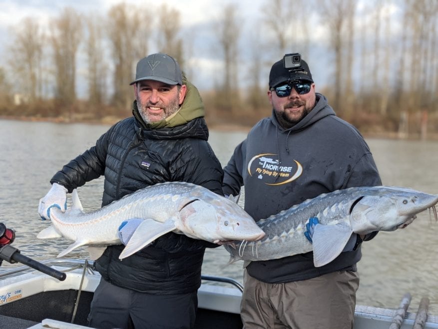 Two fisherman take picture of double header Sturgeon